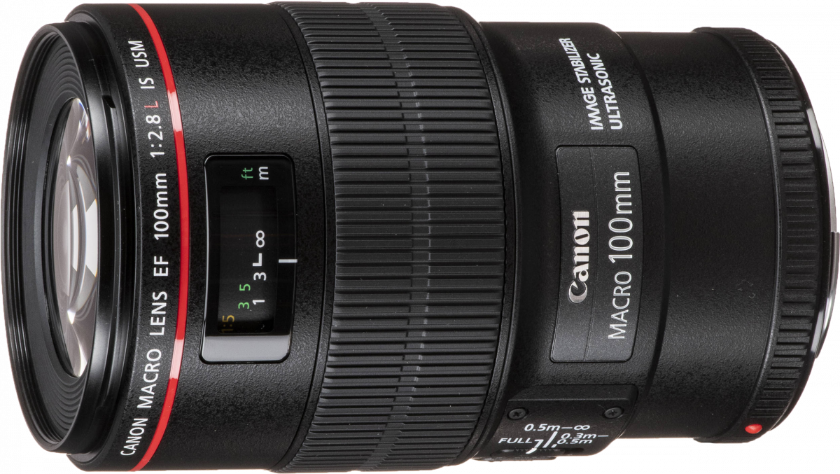 Canon 100mm Makro