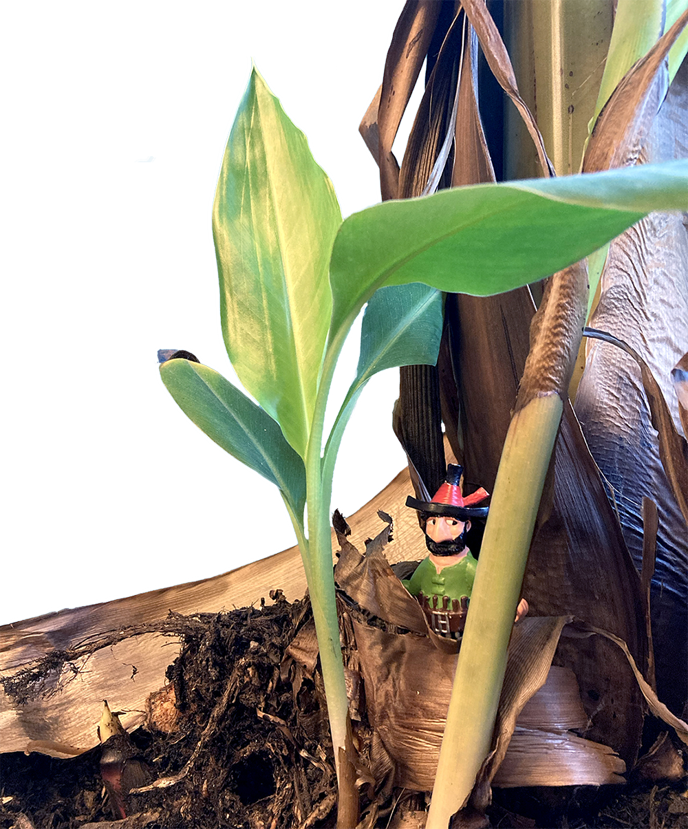 Steuerberatung 26 web2