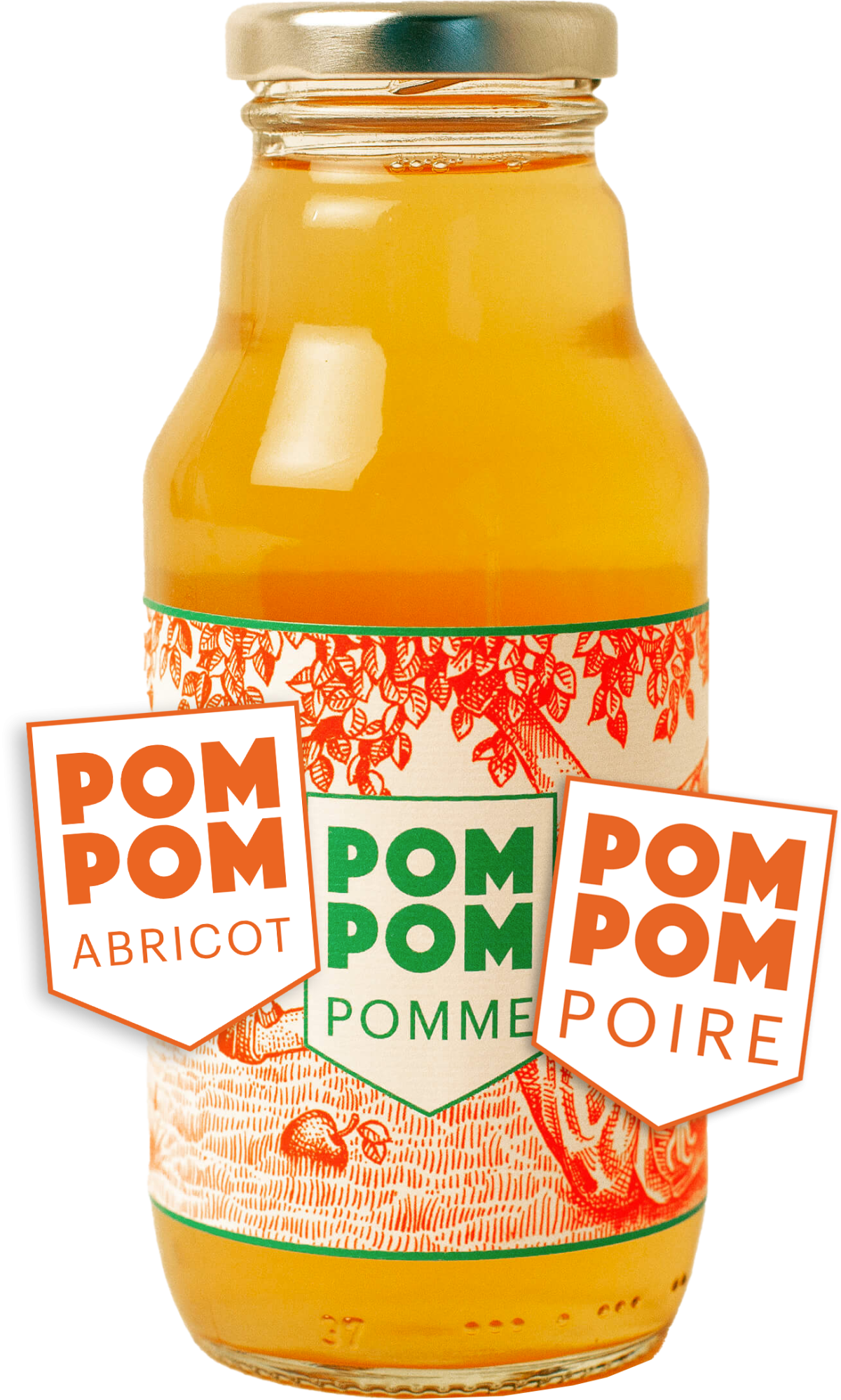POM POM 01