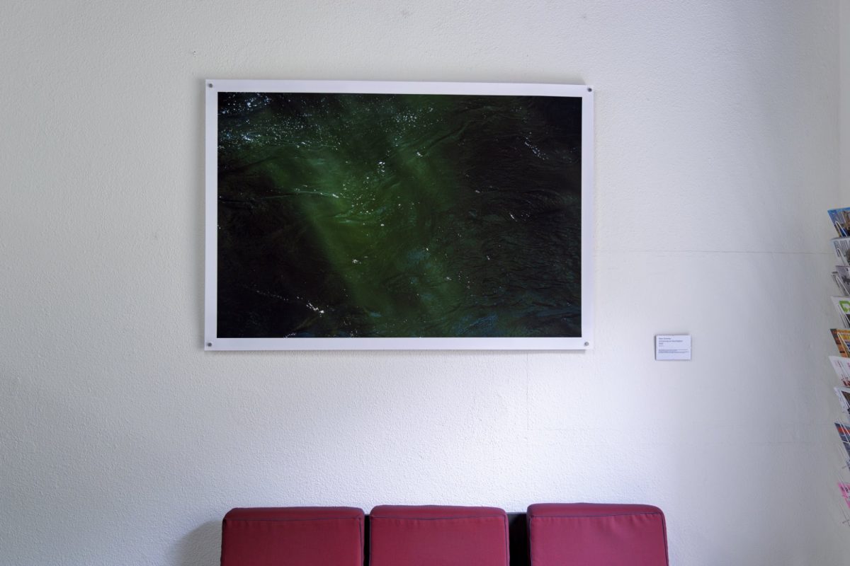 Wandbild Maxi Schmitz 1